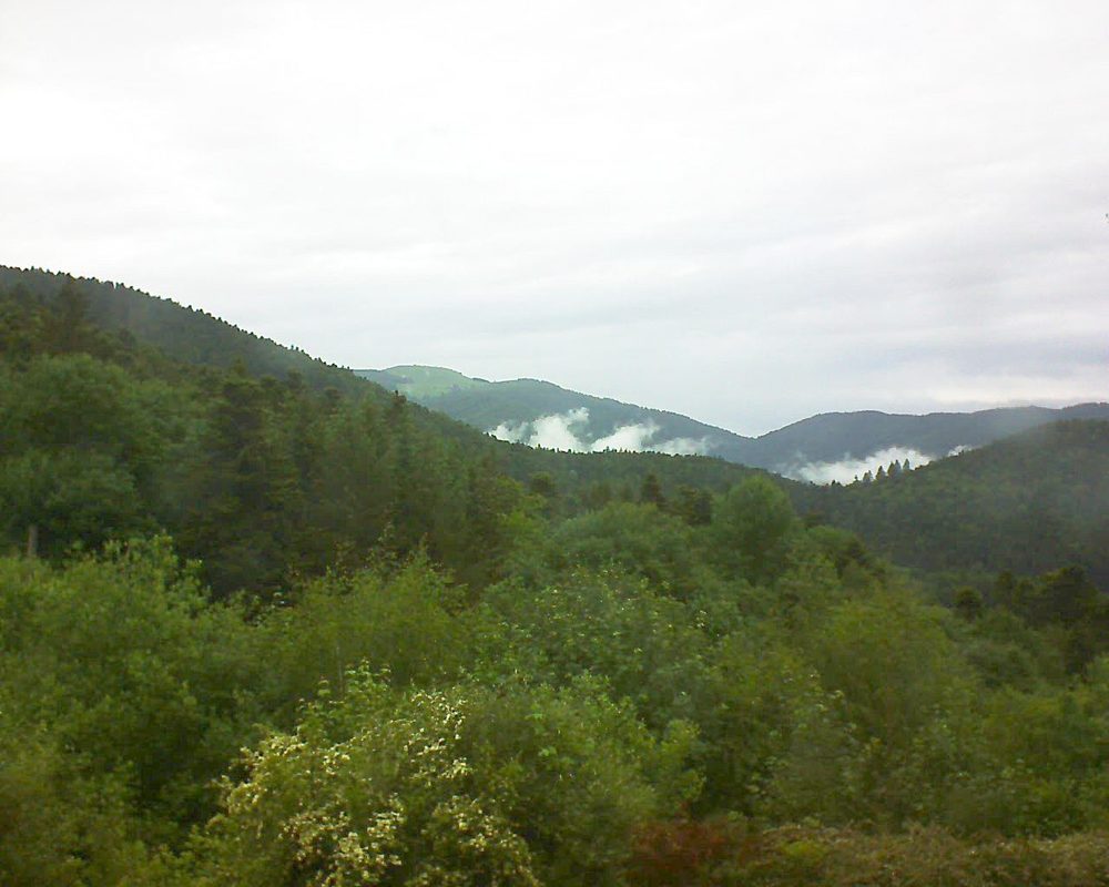 Le petit ballon vu depuis le Domaine Langmatt à Murbach le 29.05.2018 à 12:30 Le petit ballon (Alsace, Vosges) le 29.05.2018 à 12:30