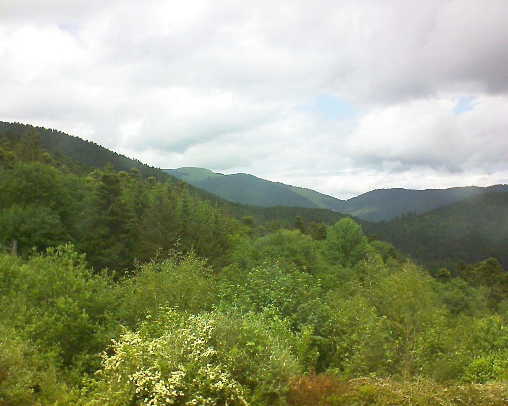 Le petit ballon vu depuis le Domaine Langmatt à Murbach le 29.05.2018 à 14:15 Le petit ballon (Alsace, Vosges) le 29.05.2018 à 14:15