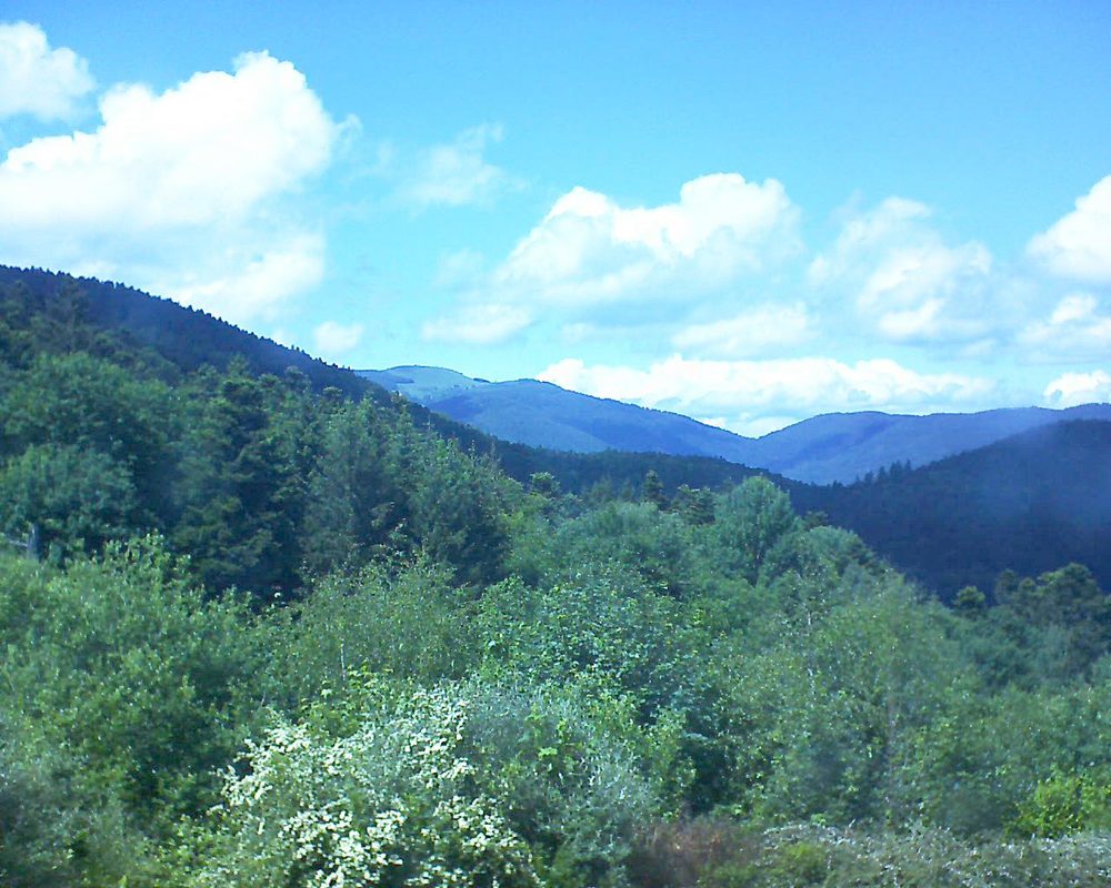 Le petit ballon vu depuis le Domaine Langmatt à Murbach le 29.05.2018 à 15:15 Le petit ballon (Alsace, Vosges) le 29.05.2018 à 15:15
