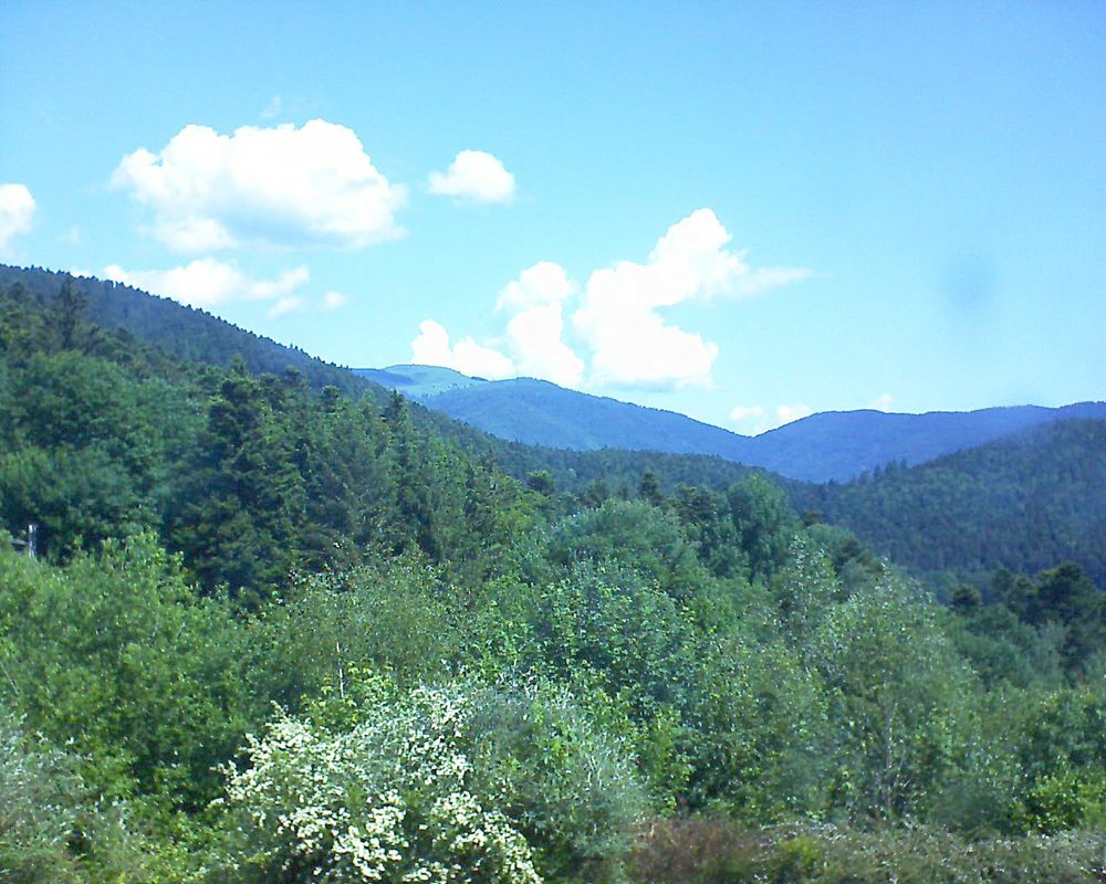 Le petit ballon vu depuis le Domaine Langmatt à Murbach le 30.05.2018 à 11:30 Le petit ballon (Alsace, Vosges) le 30.05.2018 à 11:30