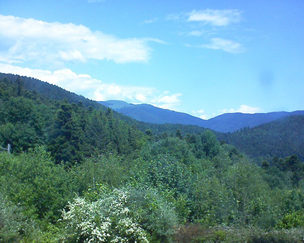 Le petit ballon vu depuis le Domaine Langmatt à Murbach le 30.05.2018 à 12:30 Le petit ballon (Alsace, Vosges) le 30.05.2018 à 12:30