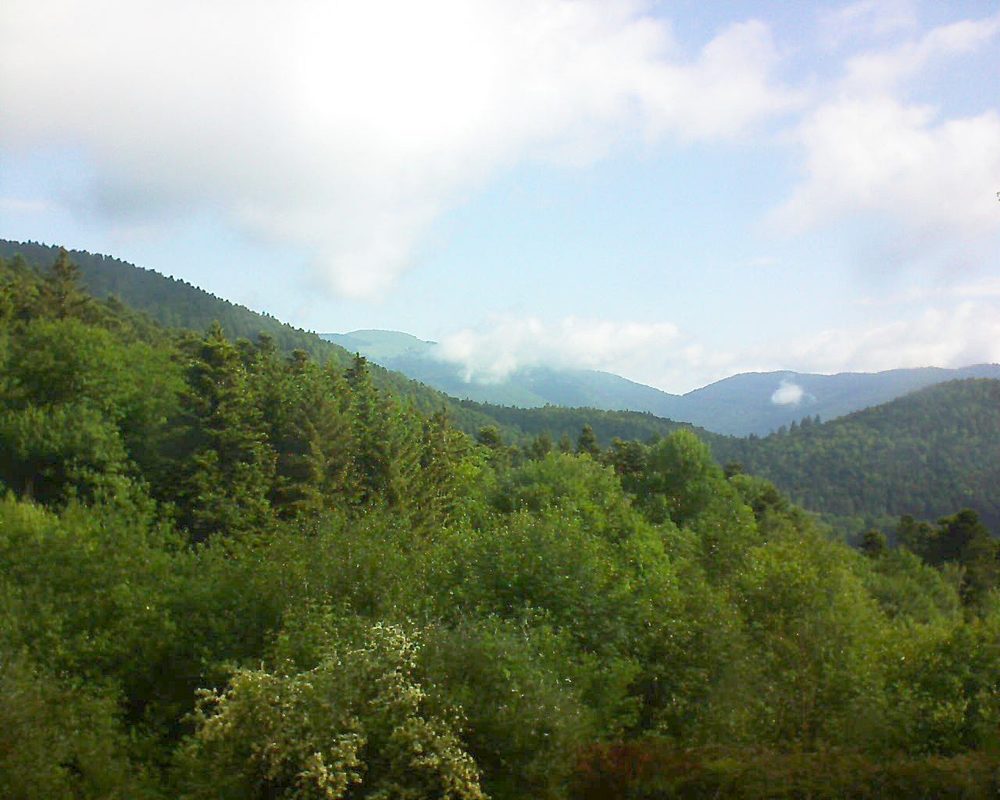 Le petit ballon vu depuis le Domaine Langmatt à Murbach le 31.05.2018 à 09:15 Le petit ballon (Alsace, Vosges) le 31.05.2018 à 09:15