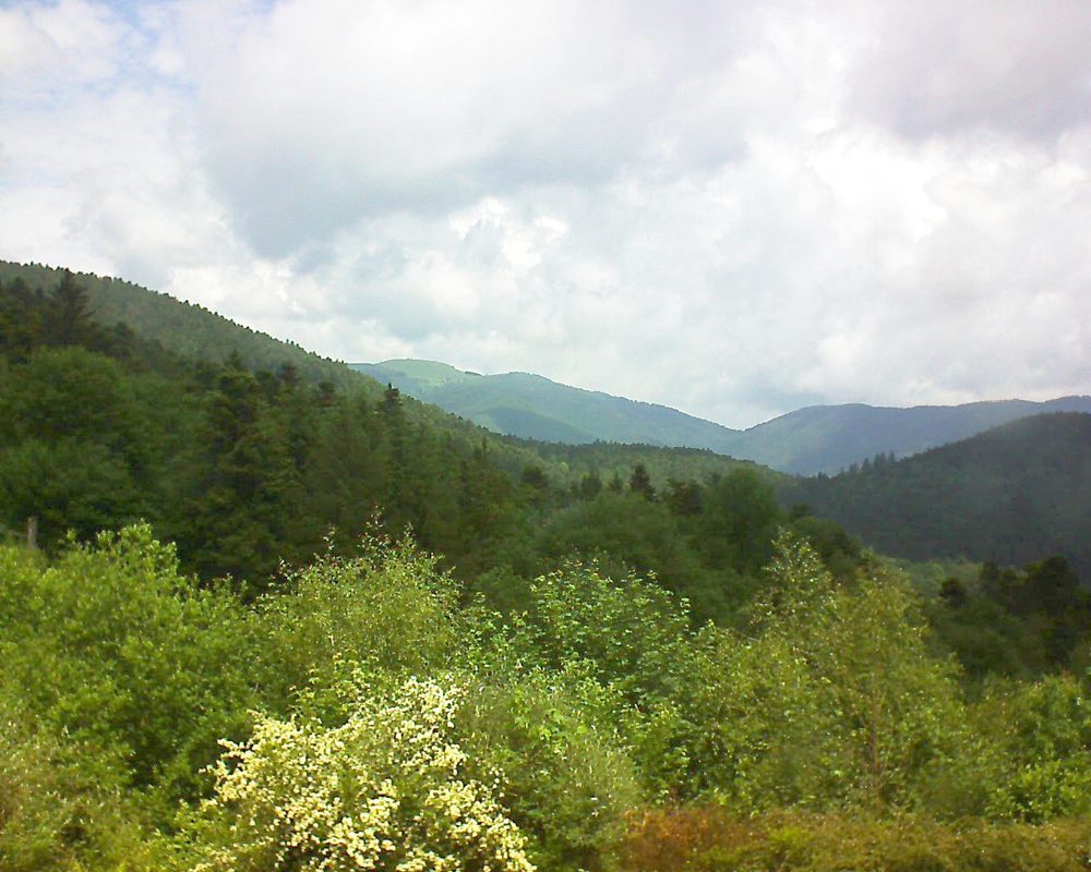 Le petit ballon vu depuis le Domaine Langmatt à Murbach le 31.05.2018 à 12:30 Le petit ballon (Alsace, Vosges) le 31.05.2018 à 12:30