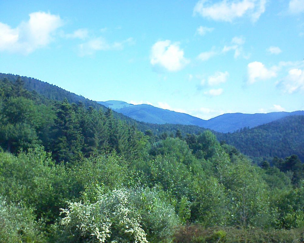 Le petit ballon vu depuis le Domaine Langmatt à Murbach le 01.06.2018 à 09:30 Le petit ballon (Alsace, Vosges) le 01.06.2018 à 09:30