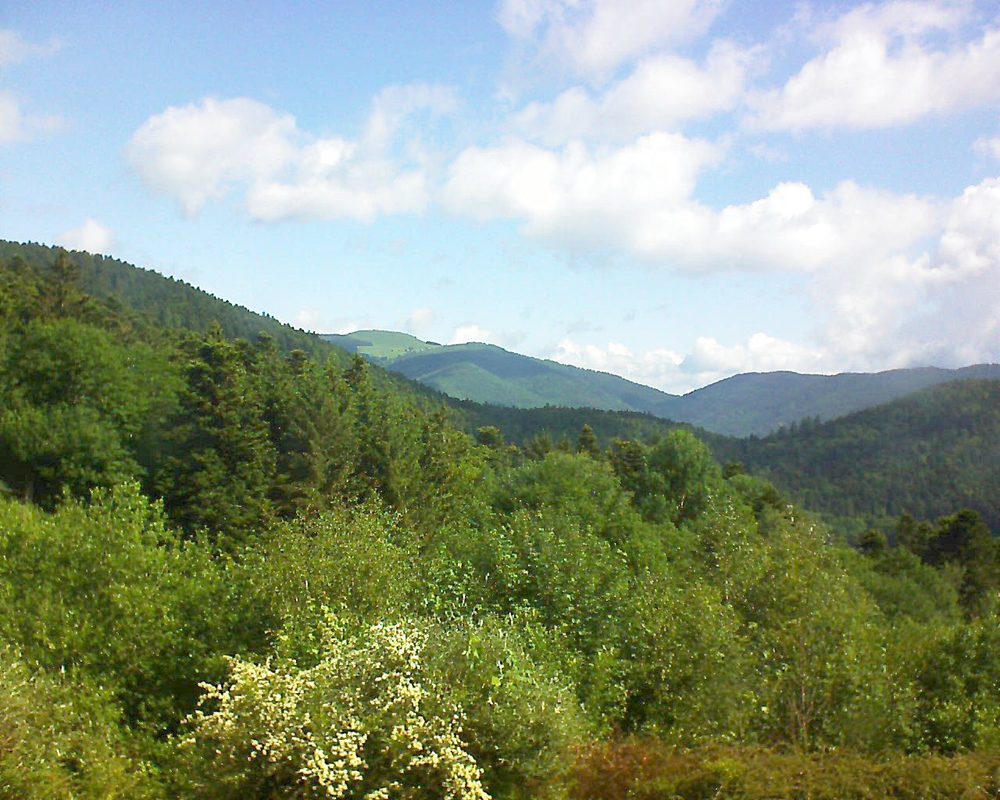 Le petit ballon vu depuis le Domaine Langmatt à Murbach le 01.06.2018 à 10:15 Le petit ballon (Alsace, Vosges) le 01.06.2018 à 10:15