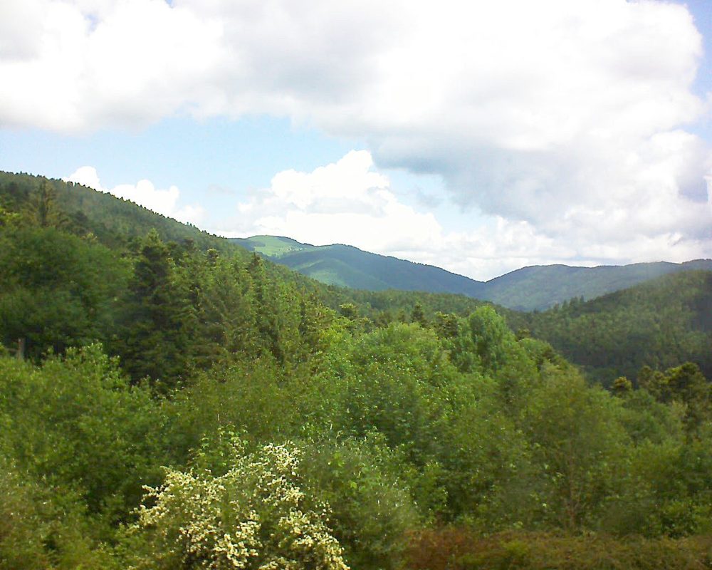 Le petit ballon vu depuis le Domaine Langmatt à Murbach le 01.06.2018 à 11:45 Le petit ballon (Alsace, Vosges) le 01.06.2018 à 11:45