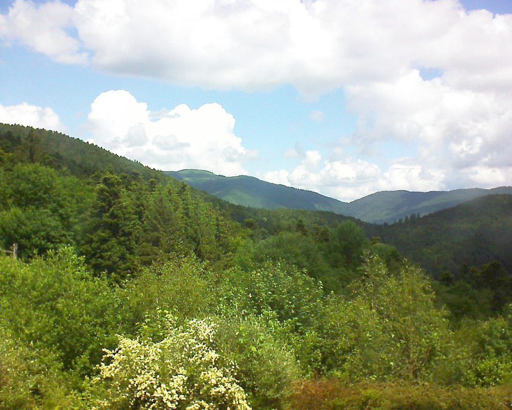 Le petit ballon vu depuis le Domaine Langmatt à Murbach le 01.06.2018 à 12:15 Le petit ballon (Alsace, Vosges) le 01.06.2018 à 12:15