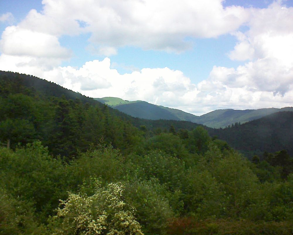 Le petit ballon vu depuis le Domaine Langmatt à Murbach le 01.06.2018 à 12:30 Le petit ballon (Alsace, Vosges) le 01.06.2018 à 12:30