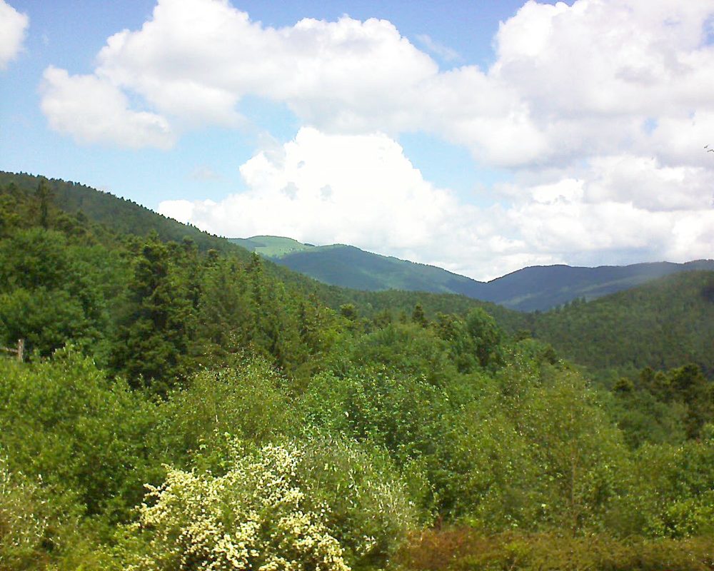 Le petit ballon vu depuis le Domaine Langmatt à Murbach le 01.06.2018 à 12:45 Le petit ballon (Alsace, Vosges) le 01.06.2018 à 12:45