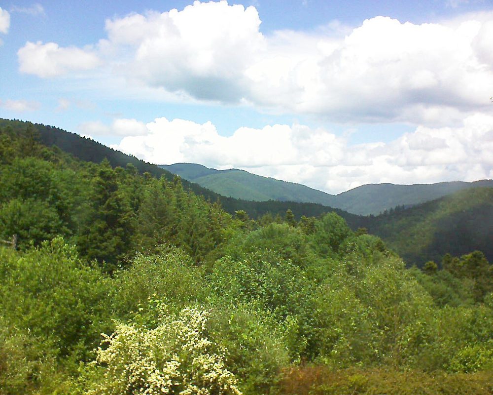 Le petit ballon vu depuis le Domaine Langmatt à Murbach le 01.06.2018 à 13:45 Le petit ballon (Alsace, Vosges) le 01.06.2018 à 13:45