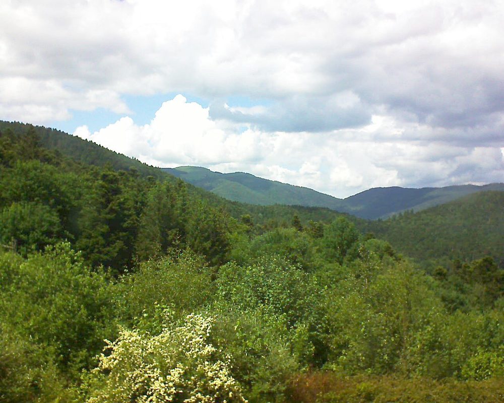Le petit ballon vu depuis le Domaine Langmatt à Murbach le 01.06.2018 à 15:00 Le petit ballon (Alsace, Vosges) le 01.06.2018 à 15:00