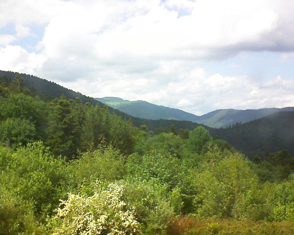 Le petit ballon vu depuis le Domaine Langmatt à Murbach le 02.06.2018 à 15:30 Le petit ballon (Alsace, Vosges) le 02.06.2018 à 15:30