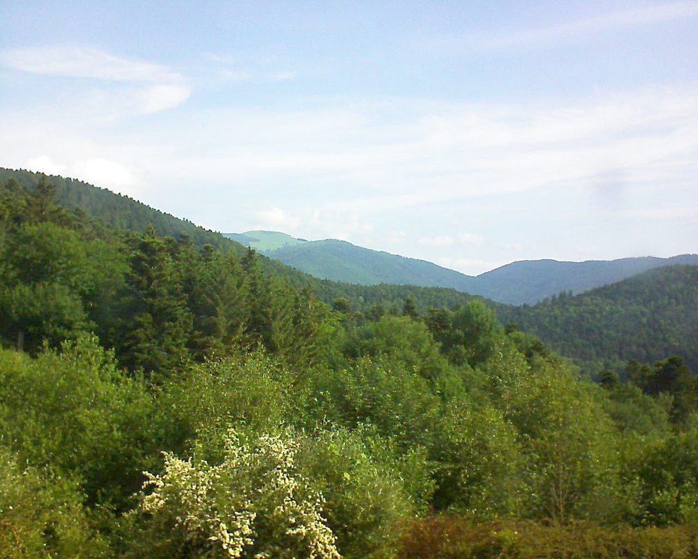 Le petit ballon vu depuis le Domaine Langmatt à Murbach le 03.06.2018 à 09:30 Le petit ballon (Alsace, Vosges) le 03.06.2018 à 09:30