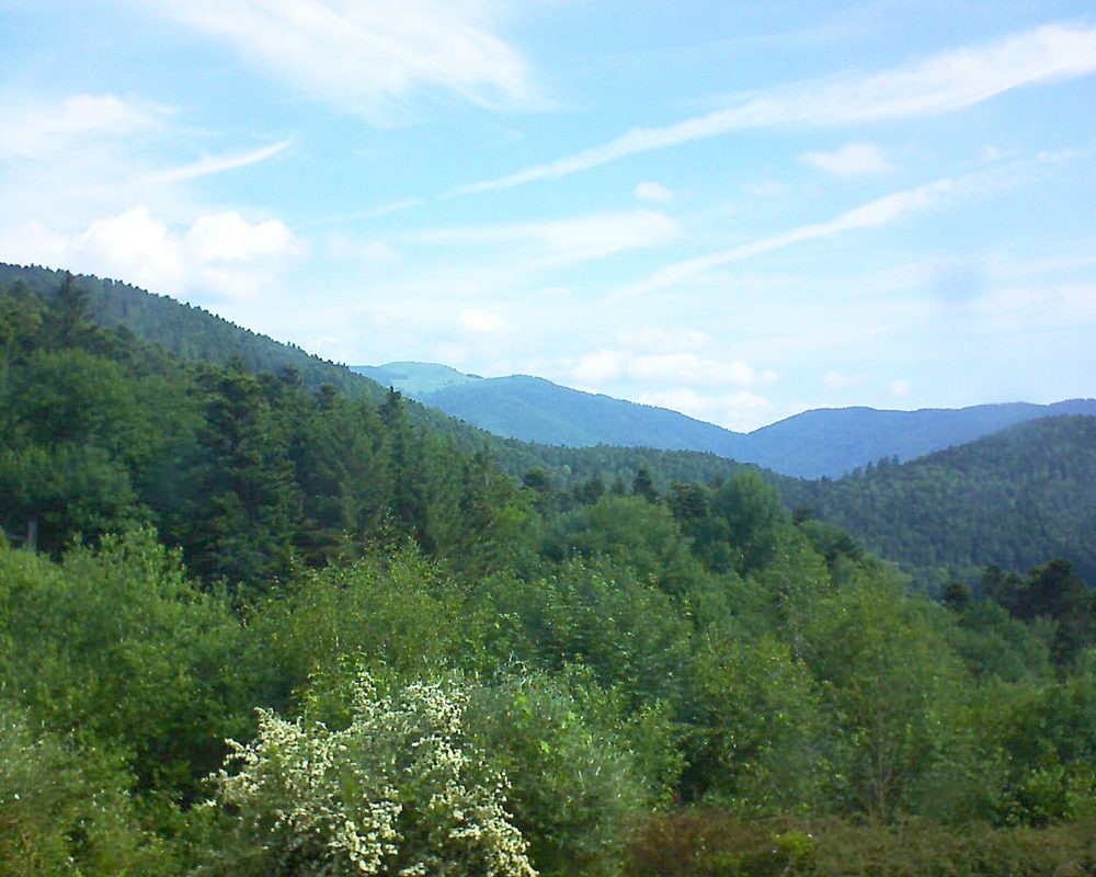 Le petit ballon vu depuis le Domaine Langmatt à Murbach le 03.06.2018 à 10:00 Le petit ballon (Alsace, Vosges) le 03.06.2018 à 10:00