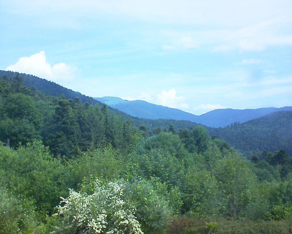 Le petit ballon vu depuis le Domaine Langmatt à Murbach le 03.06.2018 à 11:00 Le petit ballon (Alsace, Vosges) le 03.06.2018 à 11:00