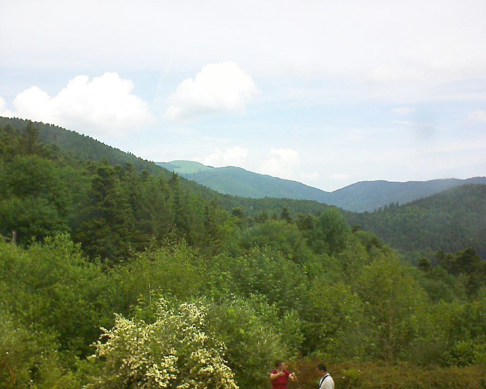 Le petit ballon vu depuis le Domaine Langmatt à Murbach le 03.06.2018 à 11:15 Le petit ballon (Alsace, Vosges) le 03.06.2018 à 11:15