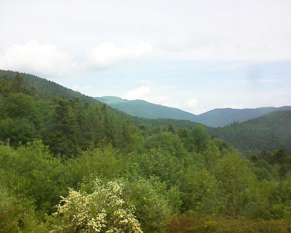 Le petit ballon vu depuis le Domaine Langmatt à Murbach le 03.06.2018 à 11:30 Le petit ballon (Alsace, Vosges) le 03.06.2018 à 11:30