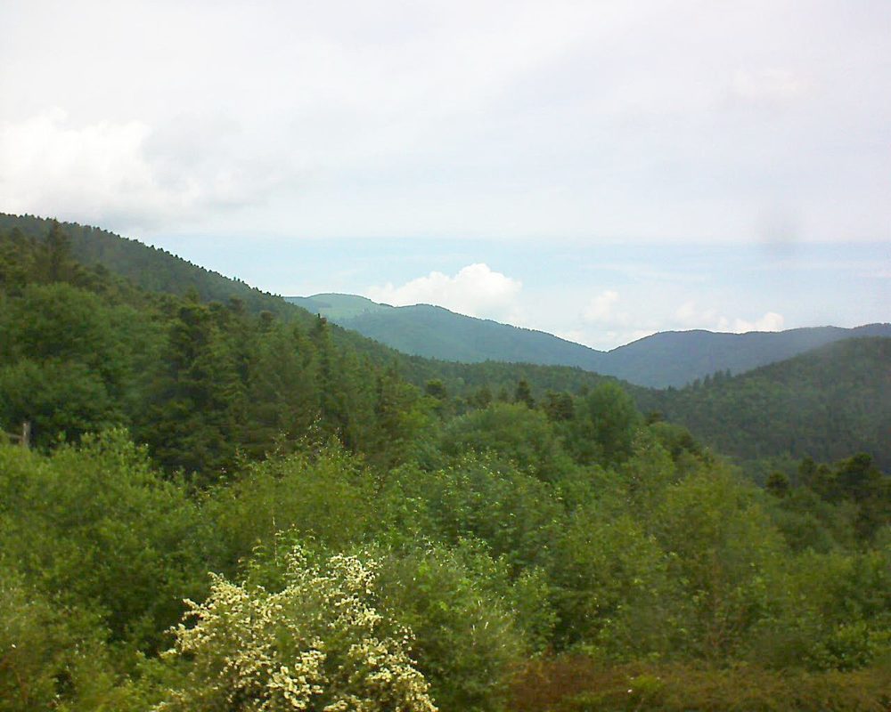 Le petit ballon vu depuis le Domaine Langmatt à Murbach le 03.06.2018 à 12:00 Le petit ballon (Alsace, Vosges) le 03.06.2018 à 12:00