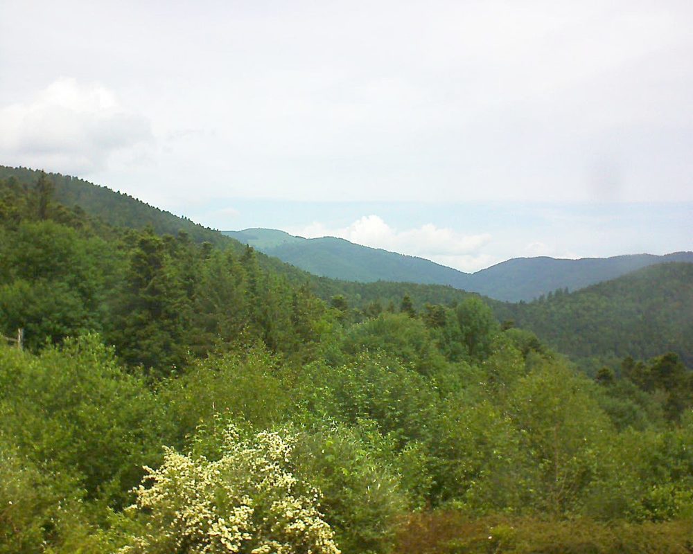 Le petit ballon vu depuis le Domaine Langmatt à Murbach le 03.06.2018 à 12:15 Le petit ballon (Alsace, Vosges) le 03.06.2018 à 12:15