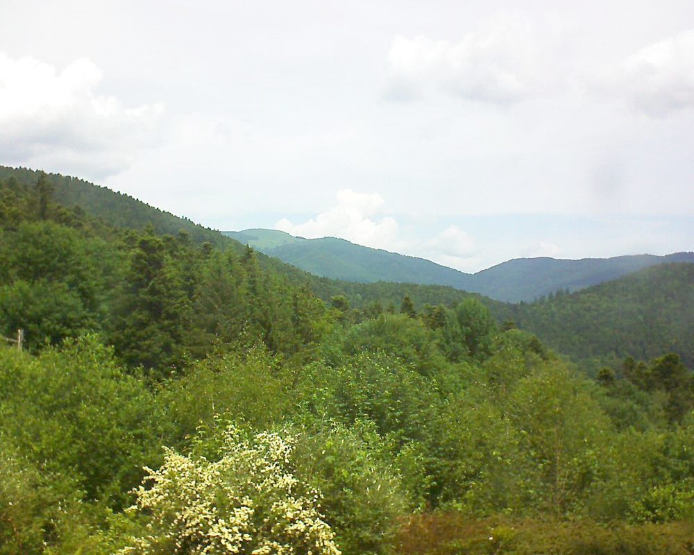 Le petit ballon vu depuis le Domaine Langmatt à Murbach le 03.06.2018 à 12:30 Le petit ballon (Alsace, Vosges) le 03.06.2018 à 12:30
