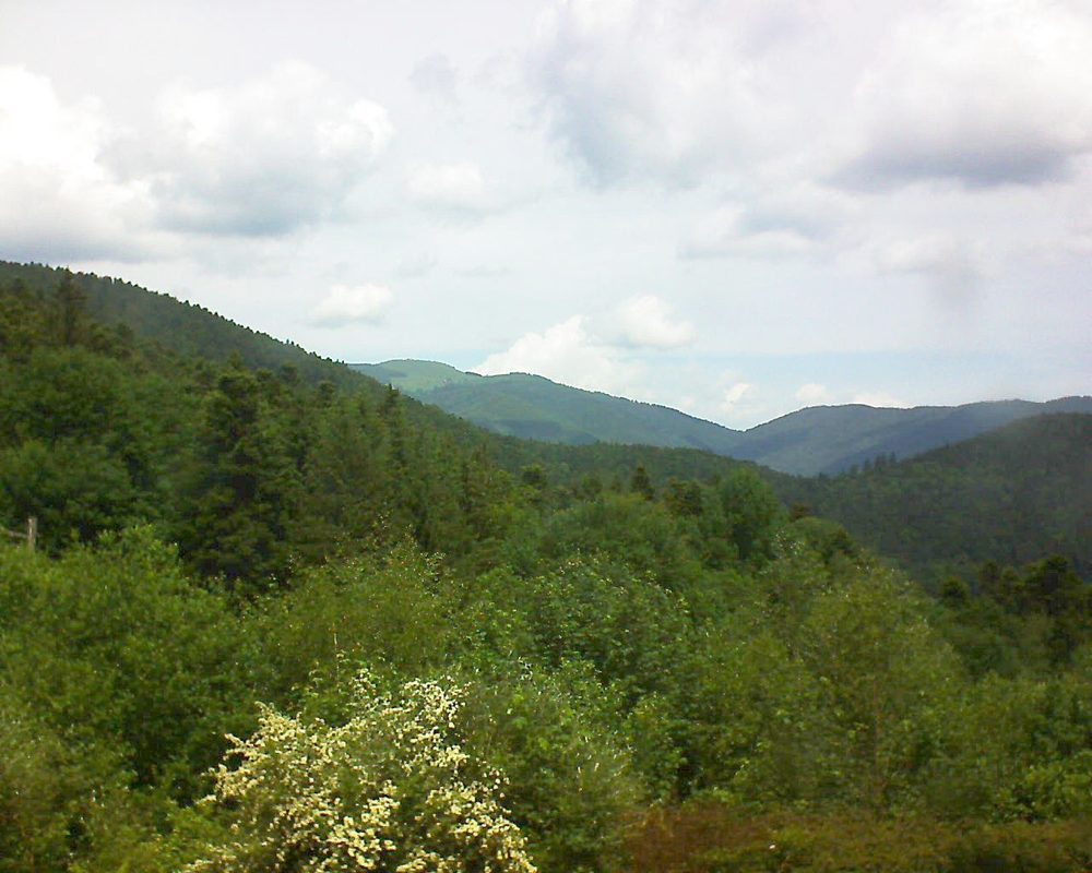 Le petit ballon vu depuis le Domaine Langmatt à Murbach le 03.06.2018 à 12:45 Le petit ballon (Alsace, Vosges) le 03.06.2018 à 12:45