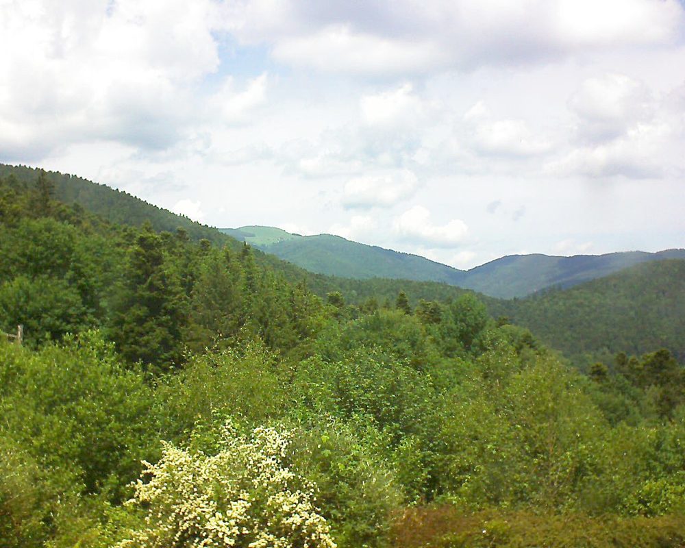 Le petit ballon vu depuis le Domaine Langmatt à Murbach le 03.06.2018 à 13:15 Le petit ballon (Alsace, Vosges) le 03.06.2018 à 13:15