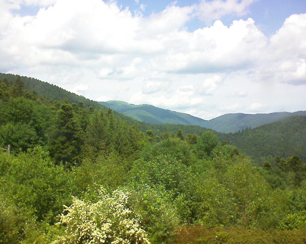 Le petit ballon vu depuis le Domaine Langmatt à Murbach le 03.06.2018 à 13:30 Le petit ballon (Alsace, Vosges) le 03.06.2018 à 13:30