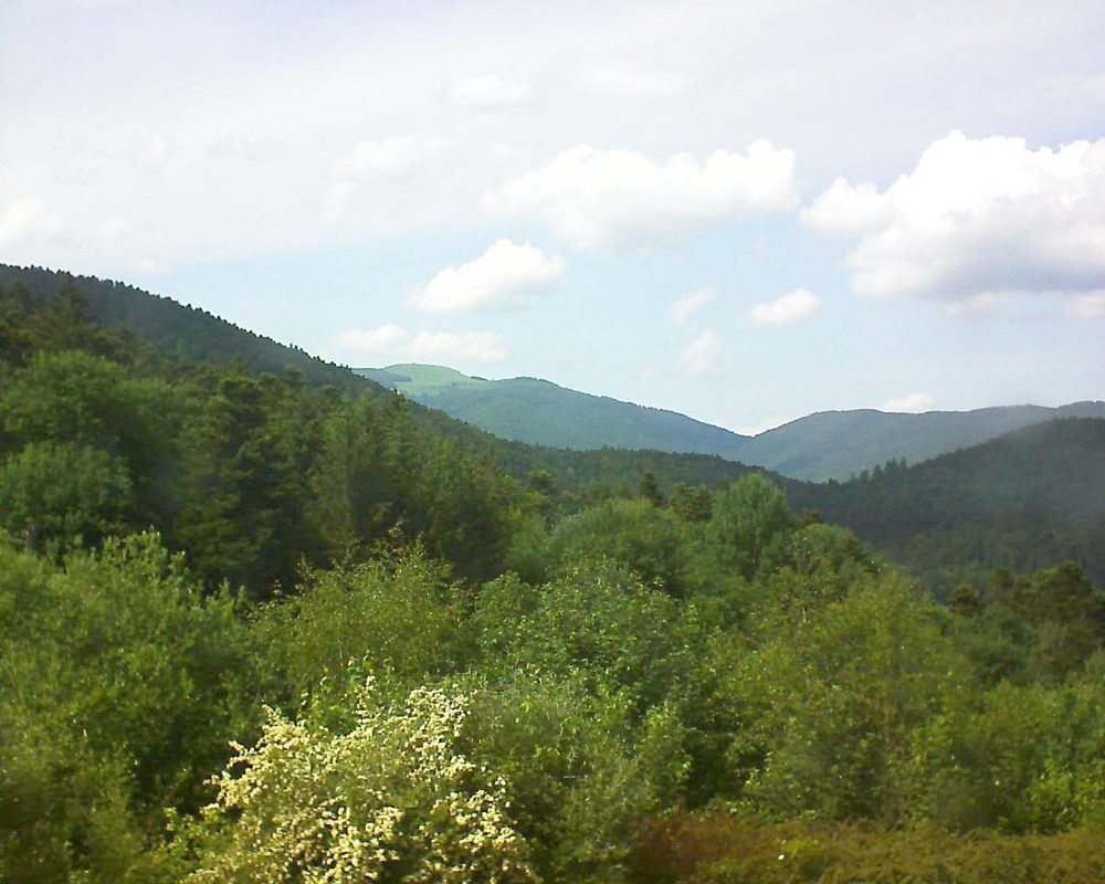 Le petit ballon vu depuis le Domaine Langmatt à Murbach le 03.06.2018 à 16:15 Le petit ballon (Alsace, Vosges) le 03.06.2018 à 16:15
