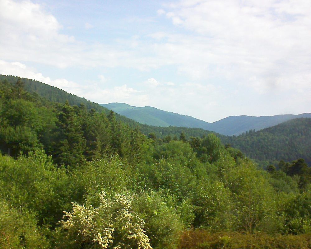 Le petit ballon vu depuis le Domaine Langmatt à Murbach le 04.06.2018 à 09:45 Le petit ballon (Alsace, Vosges) le 04.06.2018 à 09:45