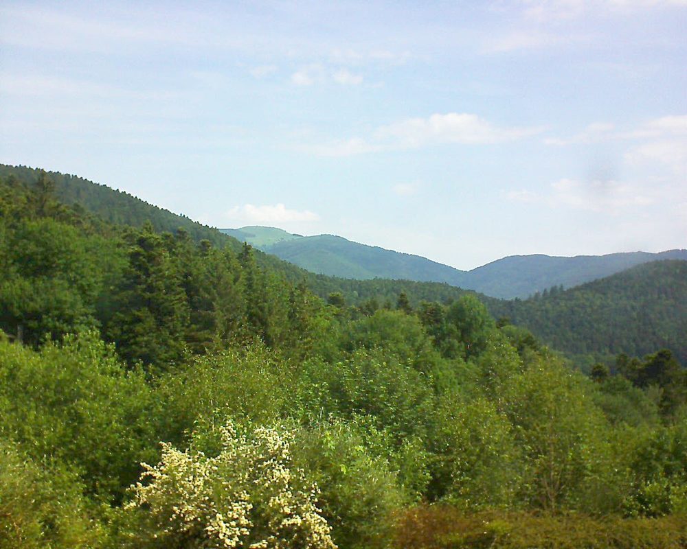 Le petit ballon vu depuis le Domaine Langmatt à Murbach le 04.06.2018 à 10:45 Le petit ballon (Alsace, Vosges) le 04.06.2018 à 10:45