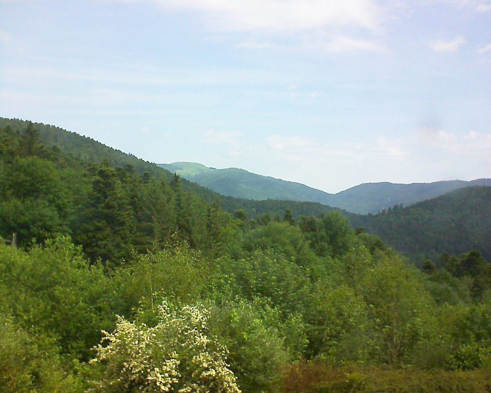 Le petit ballon vu depuis le Domaine Langmatt à Murbach le 04.06.2018 à 11:15 Le petit ballon (Alsace, Vosges) le 04.06.2018 à 11:15
