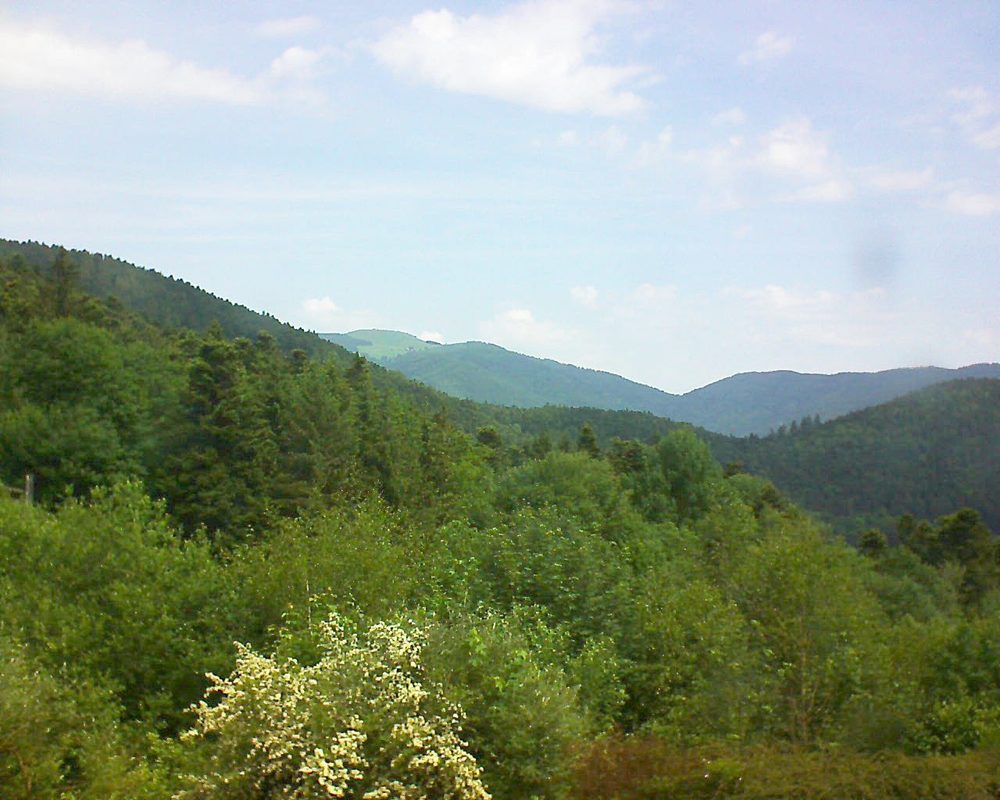 Le petit ballon vu depuis le Domaine Langmatt à Murbach le 04.06.2018 à 11:30 Le petit ballon (Alsace, Vosges) le 04.06.2018 à 11:30