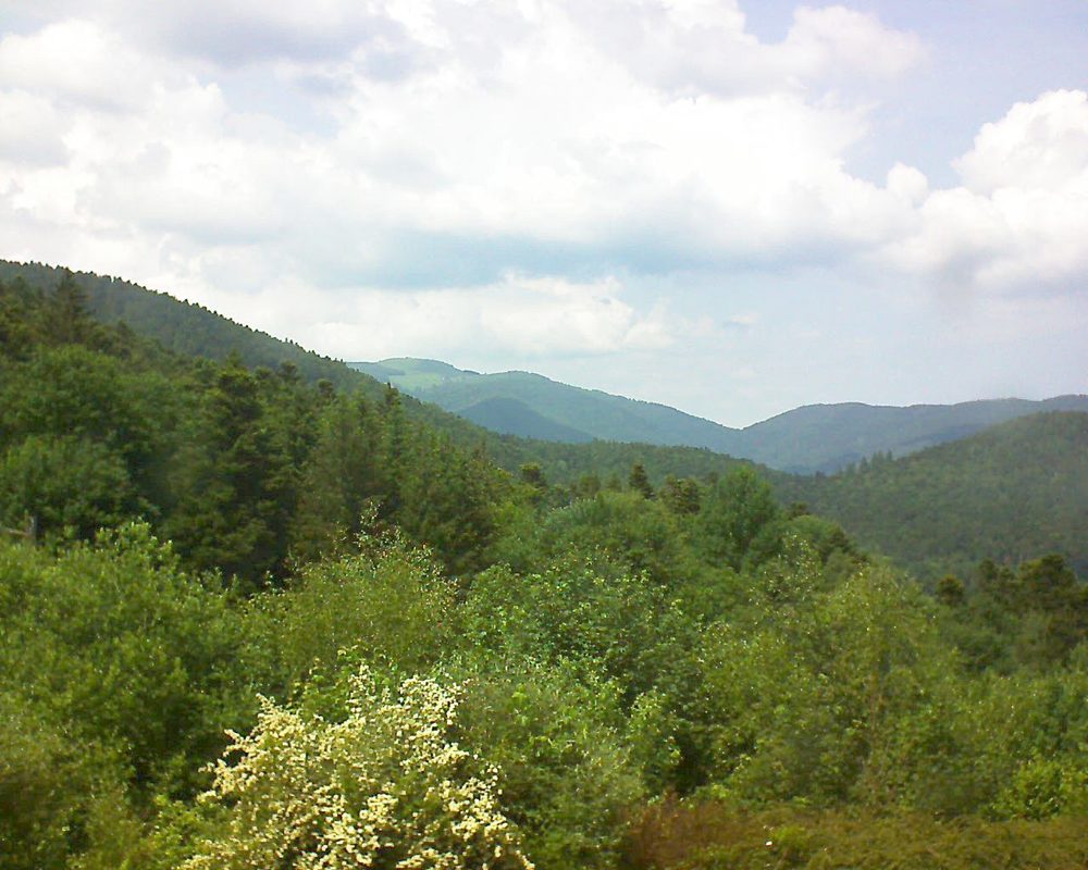 Le petit ballon vu depuis le Domaine Langmatt à Murbach le 04.06.2018 à 14:45 Le petit ballon (Alsace, Vosges) le 04.06.2018 à 14:45