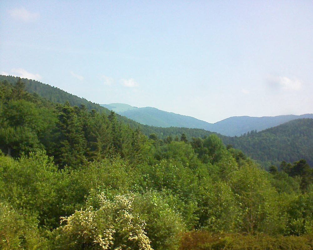 Le petit ballon vu depuis le Domaine Langmatt à Murbach le 05.06.2018 à 10:00 Le petit ballon (Alsace, Vosges) le 05.06.2018 à 10:00