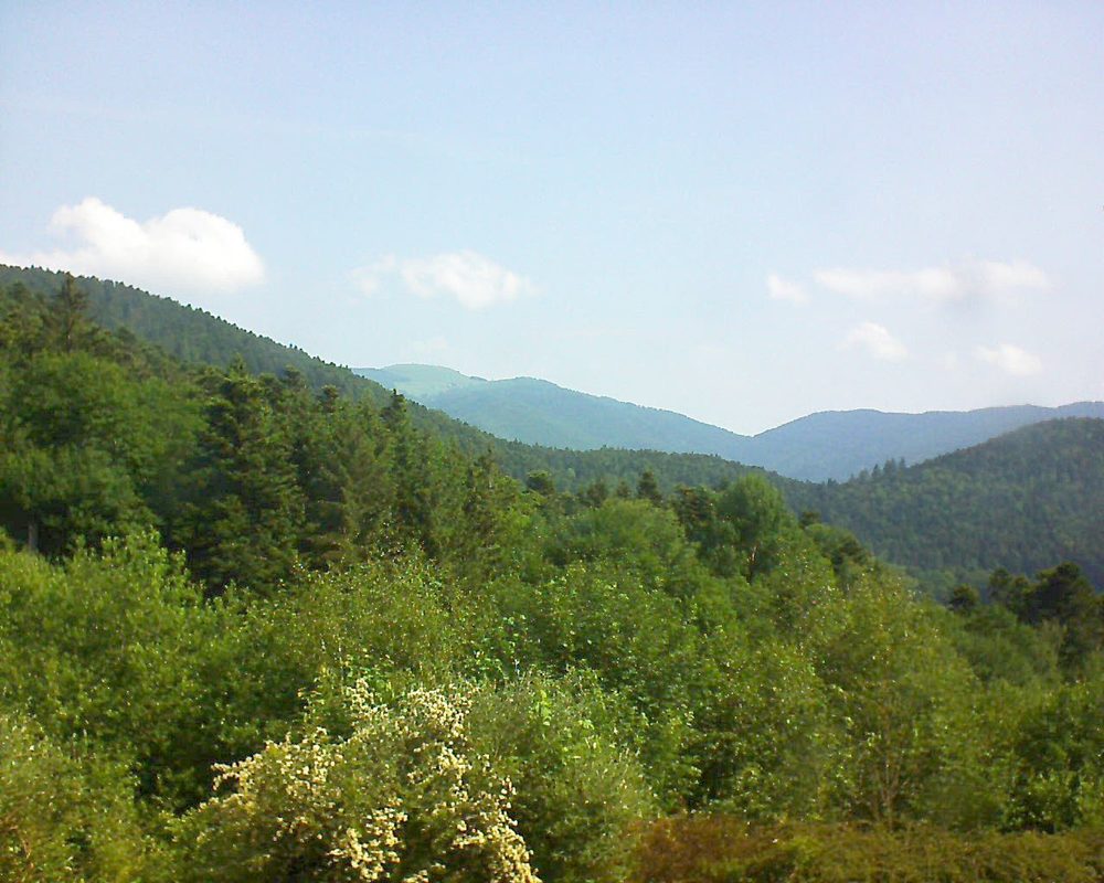 Le petit ballon vu depuis le Domaine Langmatt à Murbach le 05.06.2018 à 10:15 Le petit ballon (Alsace, Vosges) le 05.06.2018 à 10:15
