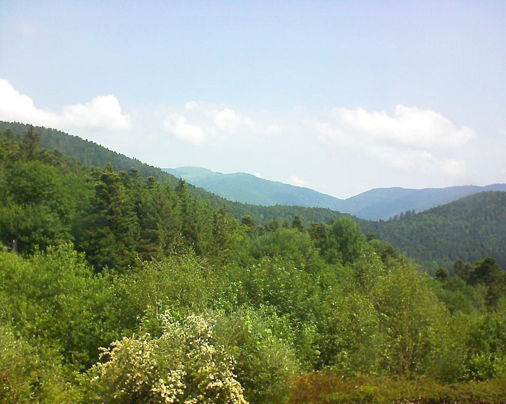 Le petit ballon vu depuis le Domaine Langmatt à Murbach le 05.06.2018 à 11:00 Le petit ballon (Alsace, Vosges) le 05.06.2018 à 11:00