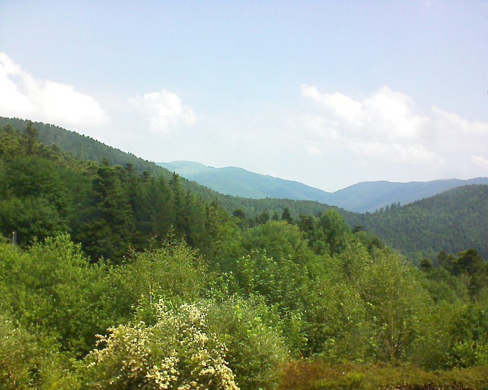 Le petit ballon vu depuis le Domaine Langmatt à Murbach le 05.06.2018 à 11:15 Le petit ballon (Alsace, Vosges) le 05.06.2018 à 11:15