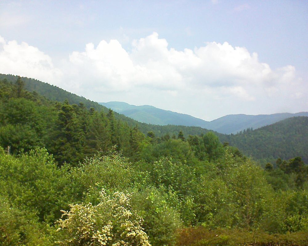 Le petit ballon vu depuis le Domaine Langmatt à Murbach le 05.06.2018 à 11:45 Le petit ballon (Alsace, Vosges) le 05.06.2018 à 11:45