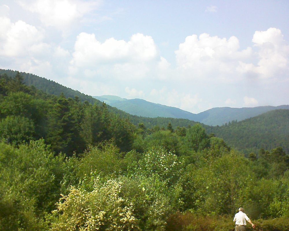 Le petit ballon vu depuis le Domaine Langmatt à Murbach le 05.06.2018 à 16:15 Le petit ballon (Alsace, Vosges) le 05.06.2018 à 16:15