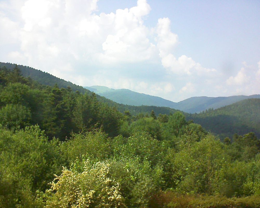 Le petit ballon vu depuis le Domaine Langmatt à Murbach le 05.06.2018 à 16:30 Le petit ballon (Alsace, Vosges) le 05.06.2018 à 16:30