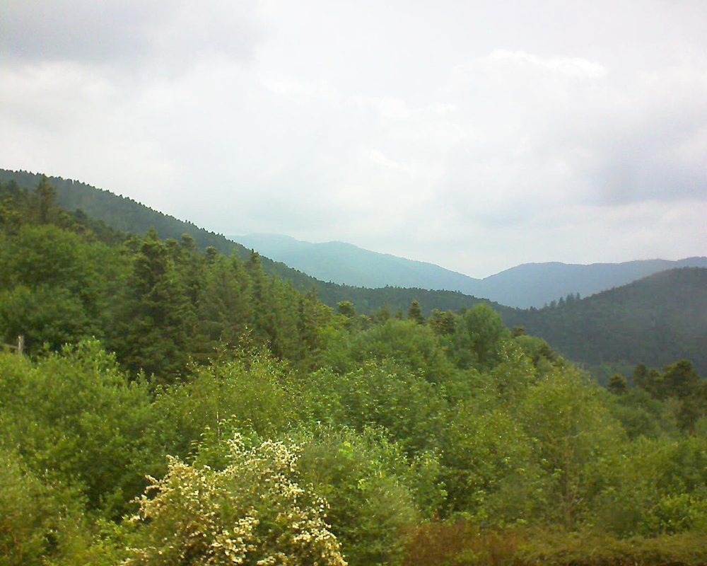 Le petit ballon vu depuis le Domaine Langmatt à Murbach le 06.06.2018 à 12:15 Le petit ballon (Alsace, Vosges) le 06.06.2018 à 12:15