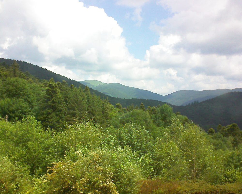 Le petit ballon vu depuis le Domaine Langmatt à Murbach le 08.06.2018 à 11:45 Le petit ballon (Alsace, Vosges) le 08.06.2018 à 11:45
