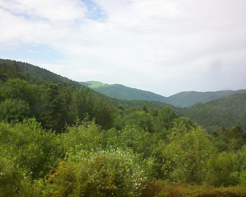Le petit ballon vu depuis le Domaine Langmatt à Murbach le 11.06.2018 à 16:45 Le petit ballon (Alsace, Vosges) le 11.06.2018 à 16:45