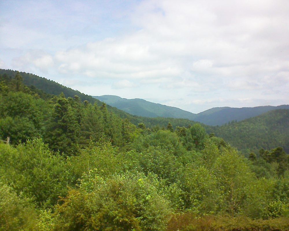 Le petit ballon vu depuis le Domaine Langmatt à Murbach le 14.06.2018 à 12:15 Le petit ballon (Alsace, Vosges) le 14.06.2018 à 12:15