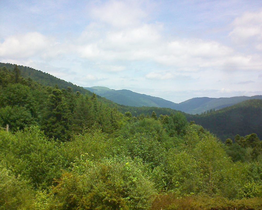Le petit ballon vu depuis le Domaine Langmatt à Murbach le 14.06.2018 à 12:45 Le petit ballon (Alsace, Vosges) le 14.06.2018 à 12:45