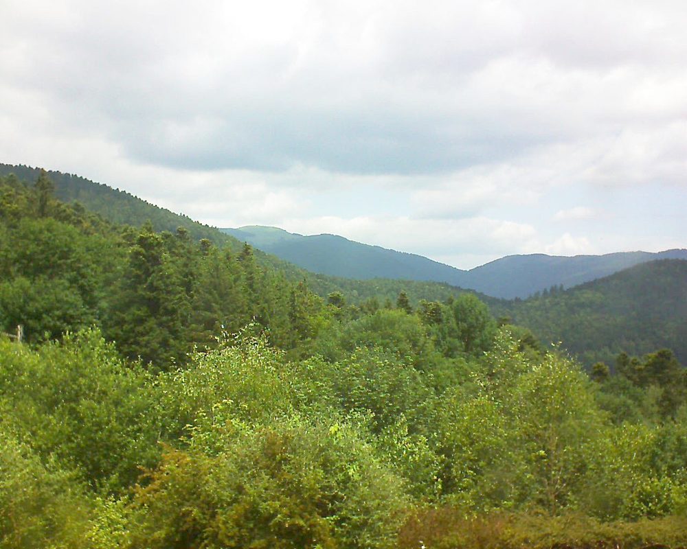 Le petit ballon vu depuis le Domaine Langmatt à Murbach le 15.06.2018 à 12:15 Le petit ballon (Alsace, Vosges) le 15.06.2018 à 12:15