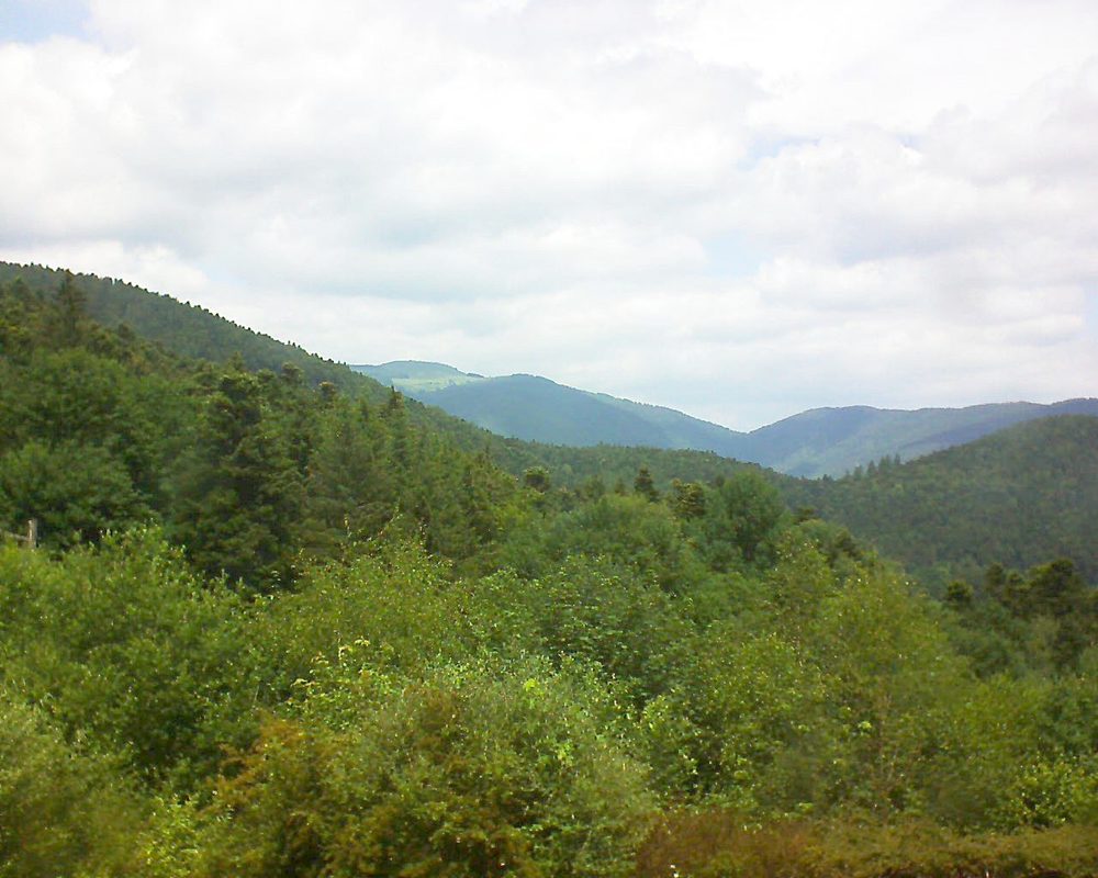 Le petit ballon vu depuis le Domaine Langmatt à Murbach le 15.06.2018 à 13:15 Le petit ballon (Alsace, Vosges) le 15.06.2018 à 13:15