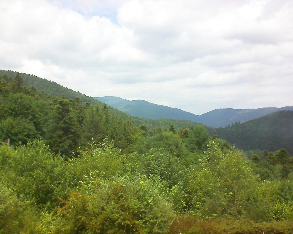 Le petit ballon vu depuis le Domaine Langmatt à Murbach le 15.06.2018 à 13:30 Le petit ballon (Alsace, Vosges) le 15.06.2018 à 13:30