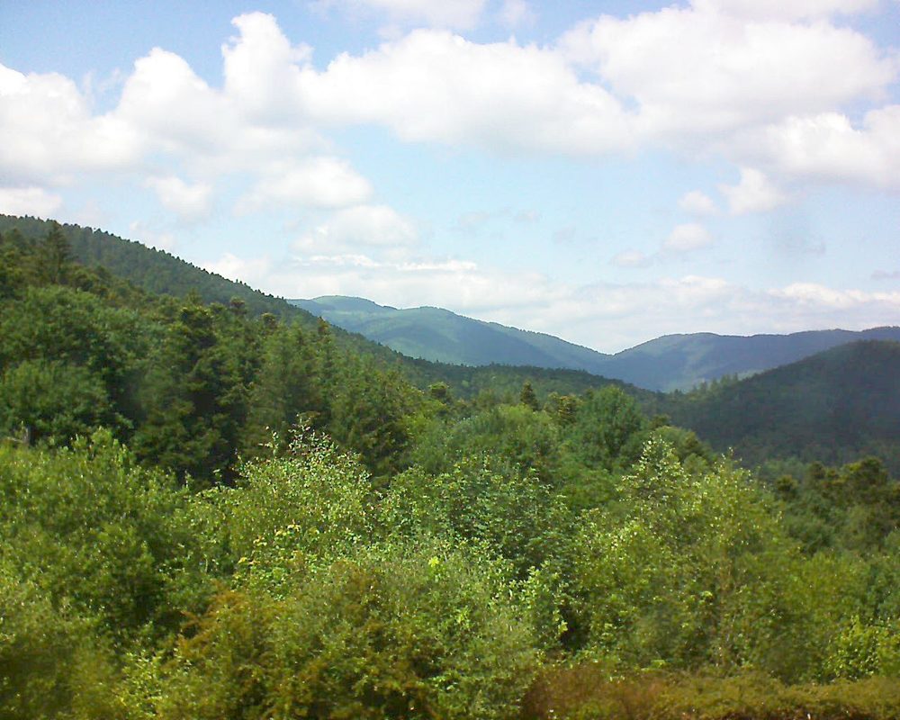 Le petit ballon vu depuis le Domaine Langmatt à Murbach le 15.06.2018 à 14:45 Le petit ballon (Alsace, Vosges) le 15.06.2018 à 14:45
