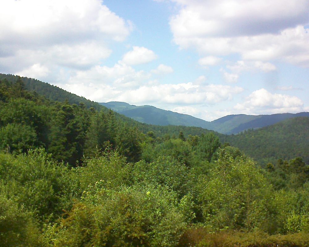 Le petit ballon vu depuis le Domaine Langmatt à Murbach le 15.06.2018 à 15:30 Le petit ballon (Alsace, Vosges) le 15.06.2018 à 15:30